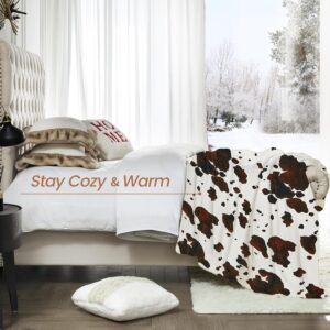 ebuynest-cow-printed-blanket
